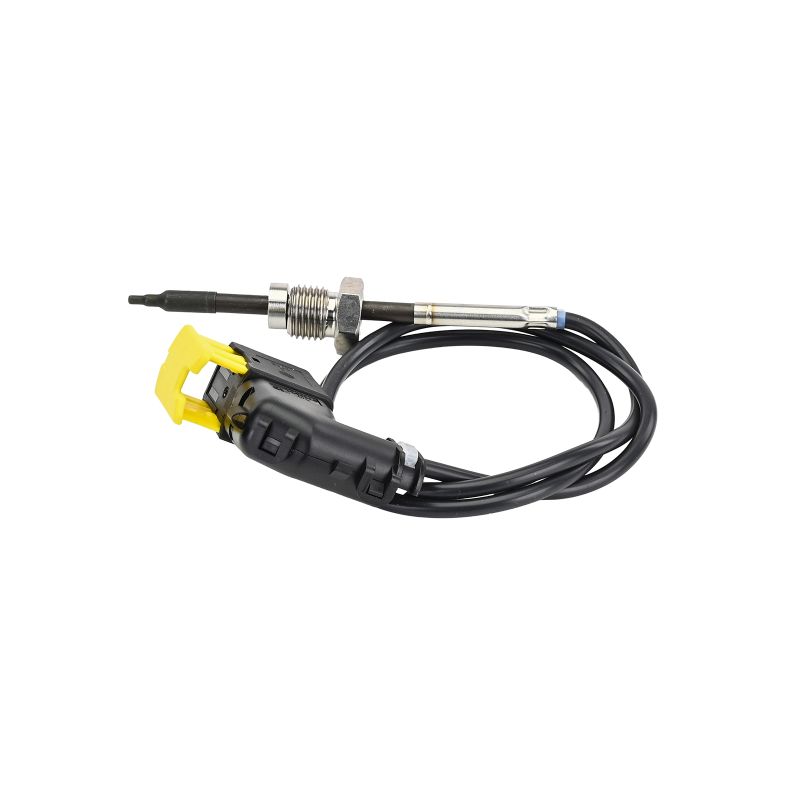 2009462 OE DELPHI Sensor, exhaust gas temperature TS30438-12B1