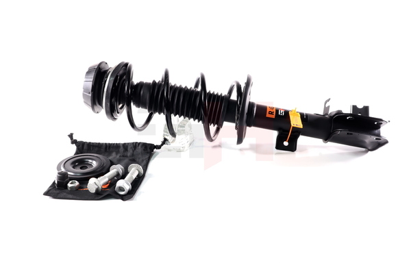 4160261M50 OE GH Jambe de force GH-355208C04