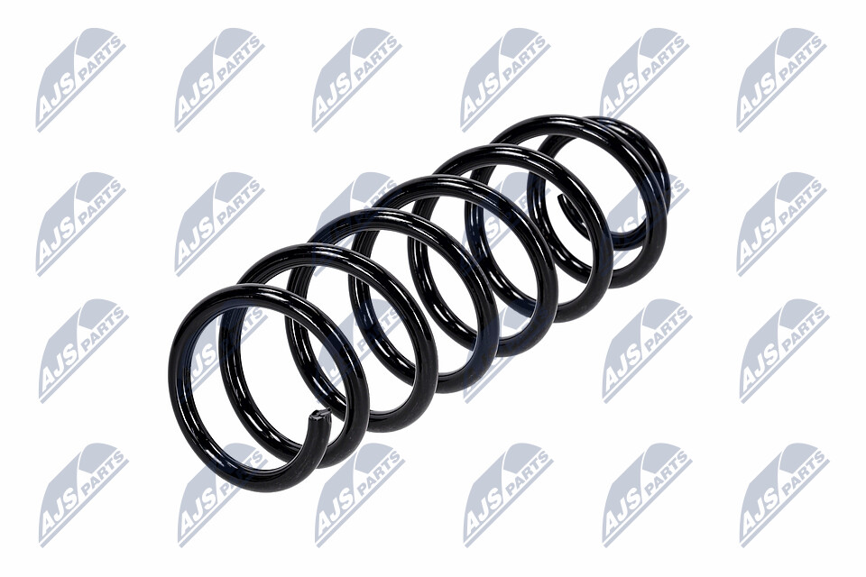 RENAULT CLIO Federn NTY ASZ-RE-020