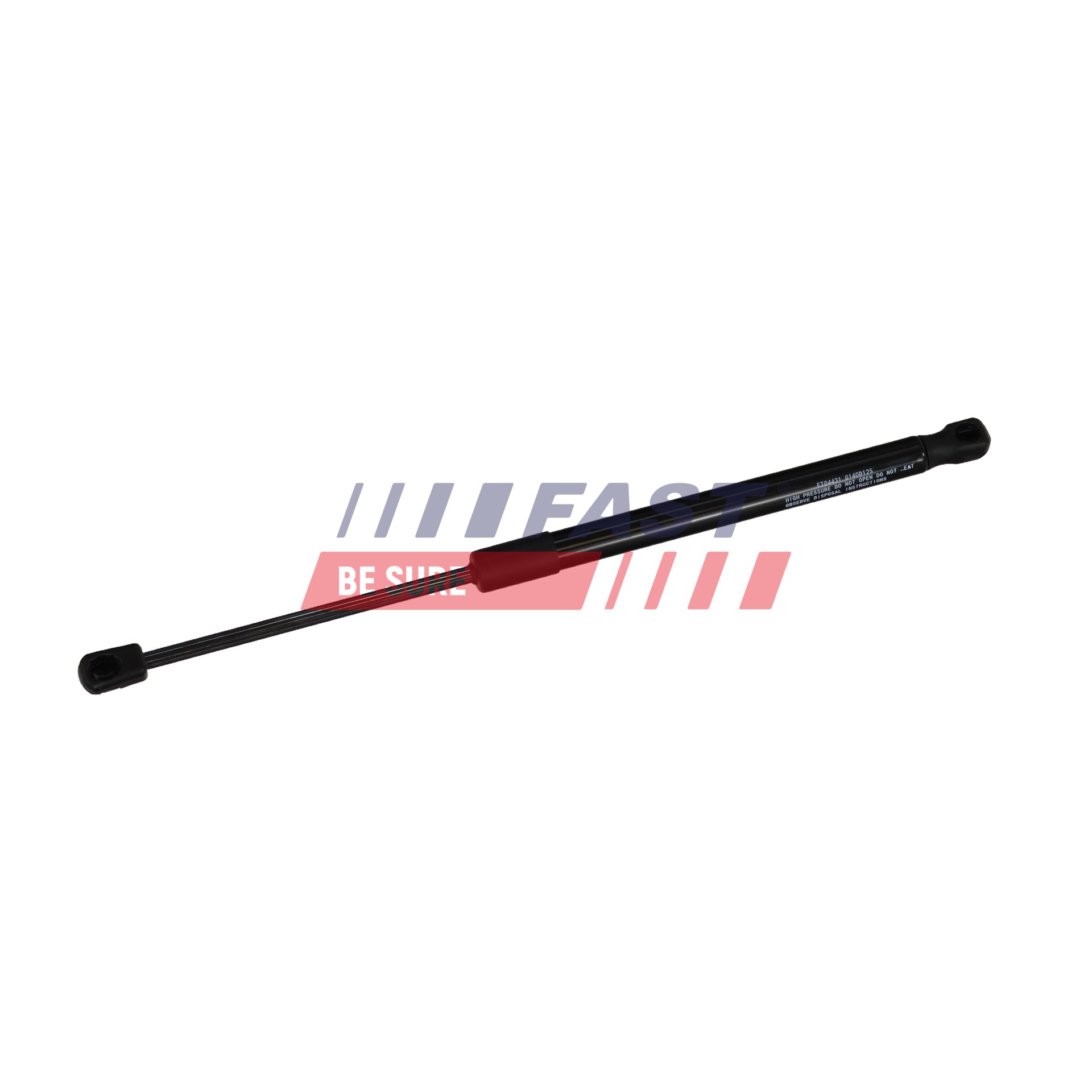 FAST FT04431 Ammortizzatore portellone posteriore DACIA Duster Van 1.6 16V 4x4 Benzina 105 CV 2021 prezzo