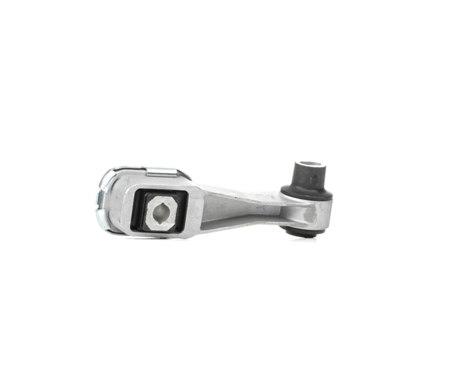 Halter, Motoraufhängung SASIC 4001802 passend für RENAULT zum günstigen Preis