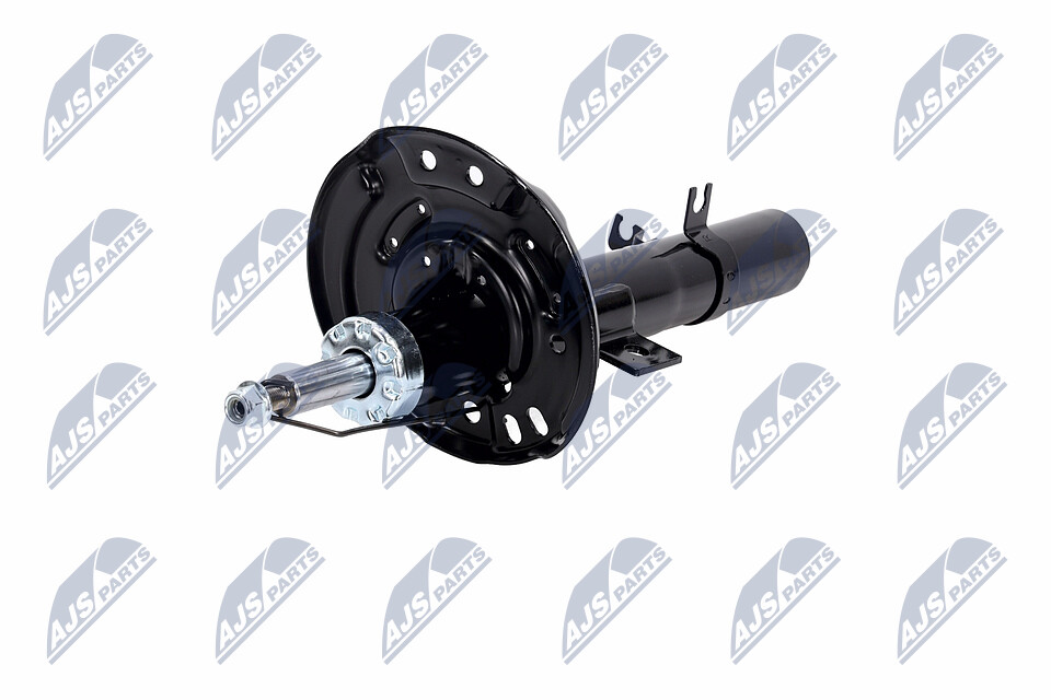 E43024EA3A OE NTY Амортизатор A-NS-050