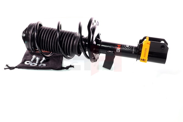 540107805R OE GH Suspension Strut GH-353947C05