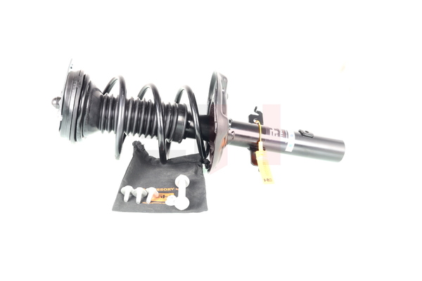 543022368R OE GH Conjunto mola / amortecedor GH-353973C01
