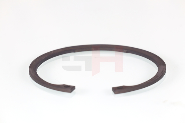 N90663201 OE GH Circlip GH-394714