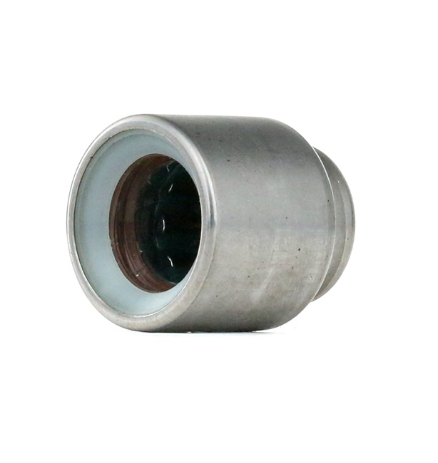LuK Palier de guidage, embrayage 410 0015 10