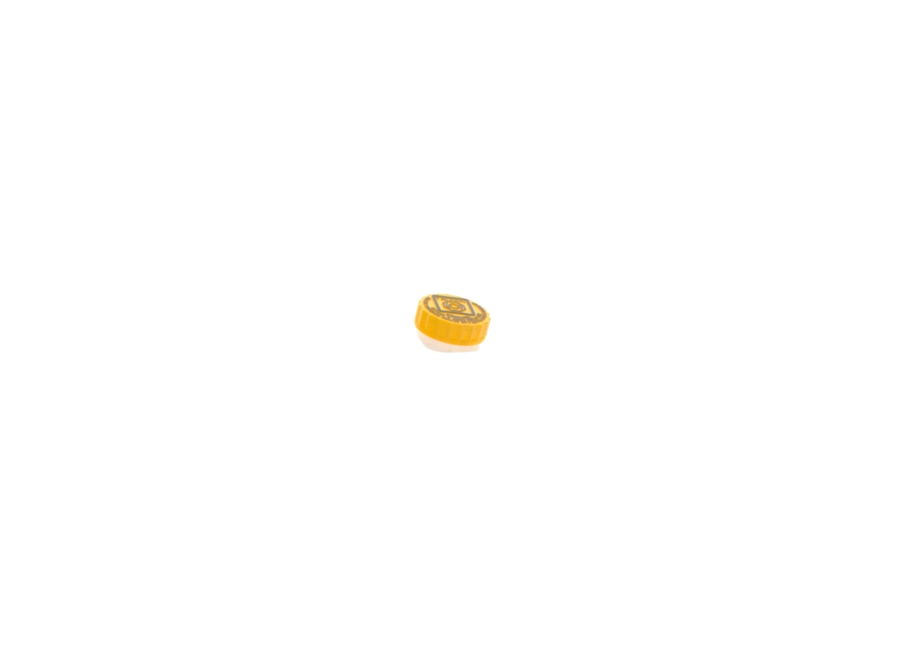 BOSCH Jarrupääsylinteri 0 204 123 722