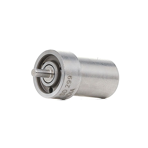 BOSCH Düse 0 434 250 160