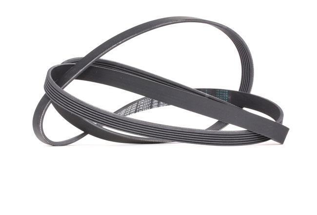 BOSCH Correa trapecial poli V 1 987 948 495