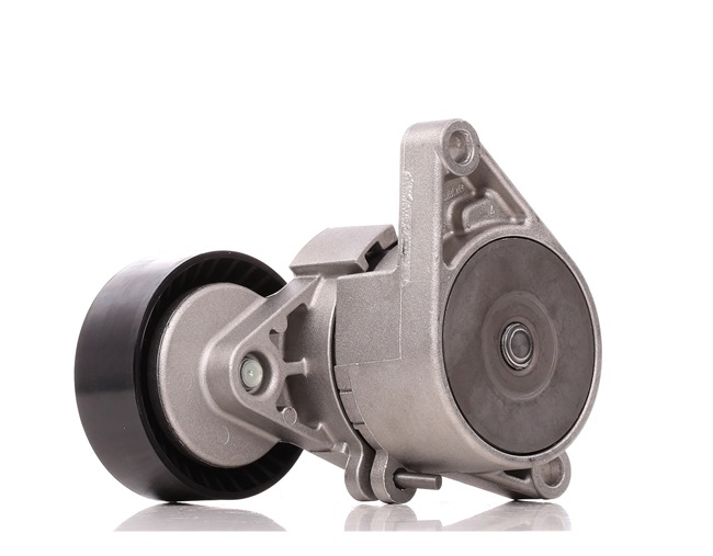 FEBI BILSTEIN Tensor de correia, correia trapezoidal estriada 10781