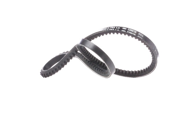 BOSCH 7701348230 V-riem
