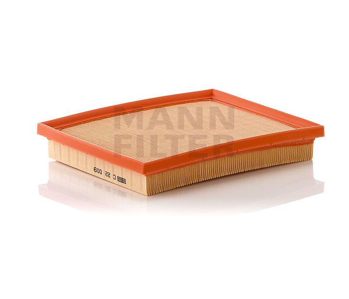 MANN-FILTER C 22 009 Luftfilter TOYOTA RAV4