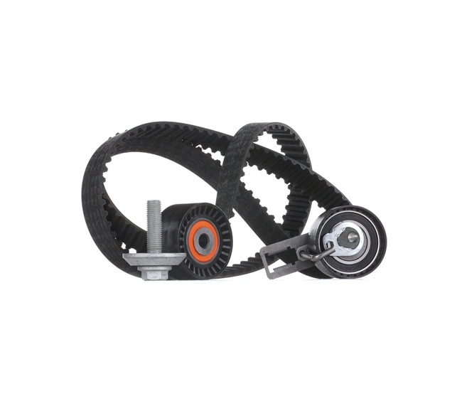 9675996680 OE INA Timing belt kit 530 0577 10
