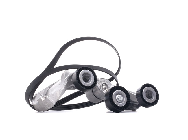 0129977592 OE SKF Jeu de courroies trapézoïdales à nervures VKMA 38061