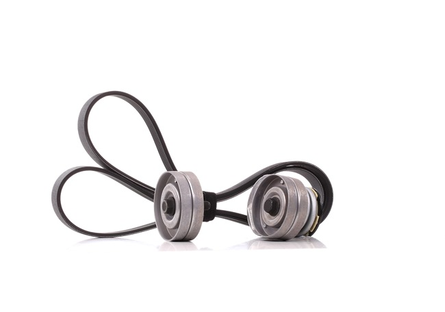 11287631819 OE SKF Jeu de courroies trapézoïdales à nervures VKMA 35314