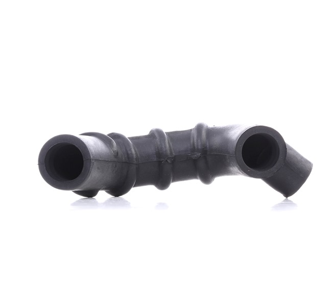 FEBI BILSTEIN 38216 Filtro recupero vapori olio Mercedes W124 200 E 2.0 (124.021) Benzina 122 CV 1988 prezzo
