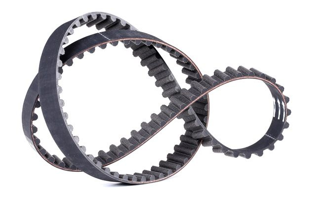 BOSCH Cinghia dentata 1 987 949 146