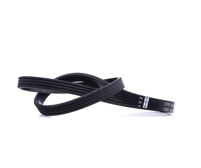 Multiriem FEBI BILSTEIN 38443 geschikt voor BMW goedkope