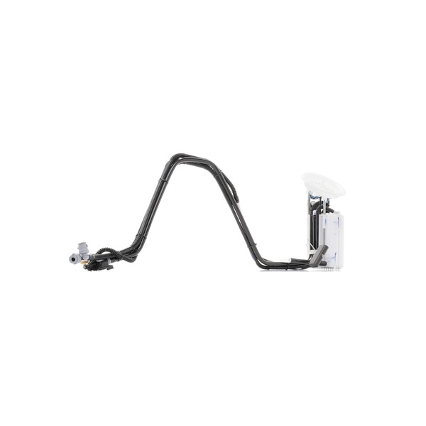 16117373522 OE BOSCH Benzinpumpe 0 580 202 029