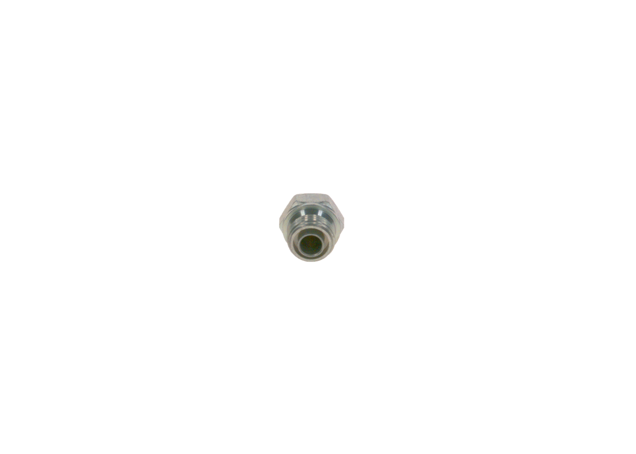 25278 OE BOSCH Vijak 2 443 462 009