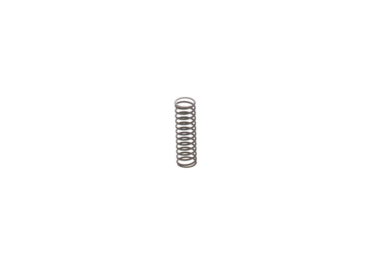A0000910619 OE BOSCH Spring 2 444 616 010