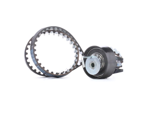DAYCO KTB702 Kit cinghia di distribuzione JAGUAR XF Sportbrake (X250) 3.0 D Diesel 241 CV 2014 prezzo