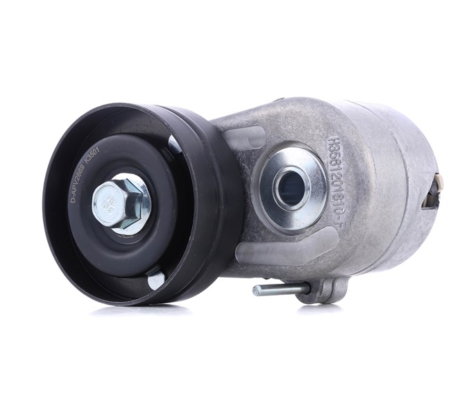 DAYCO Tenditore cinghia servizi APV2669
