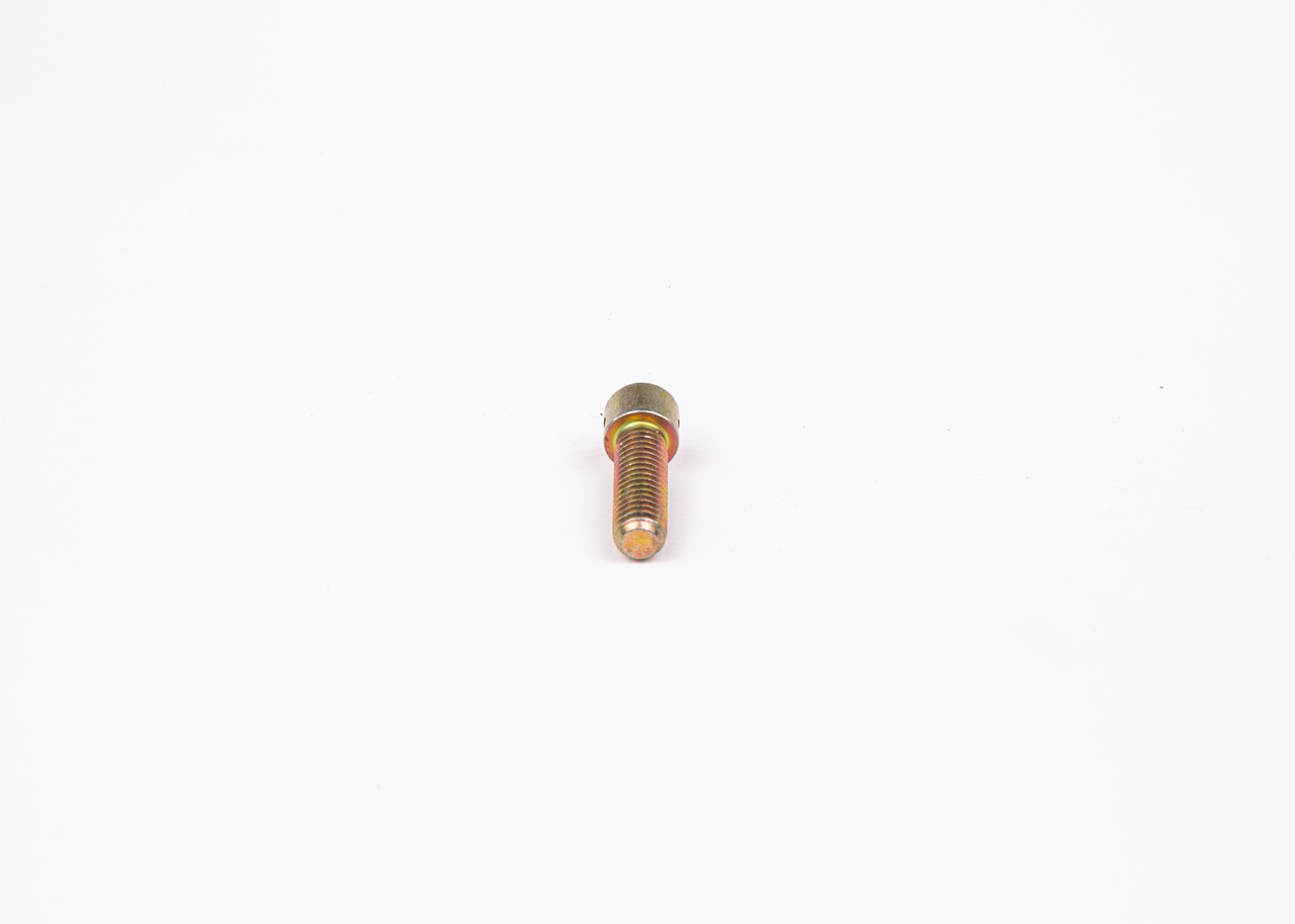 2 423 410 031 BOSCH 244990 Schraube