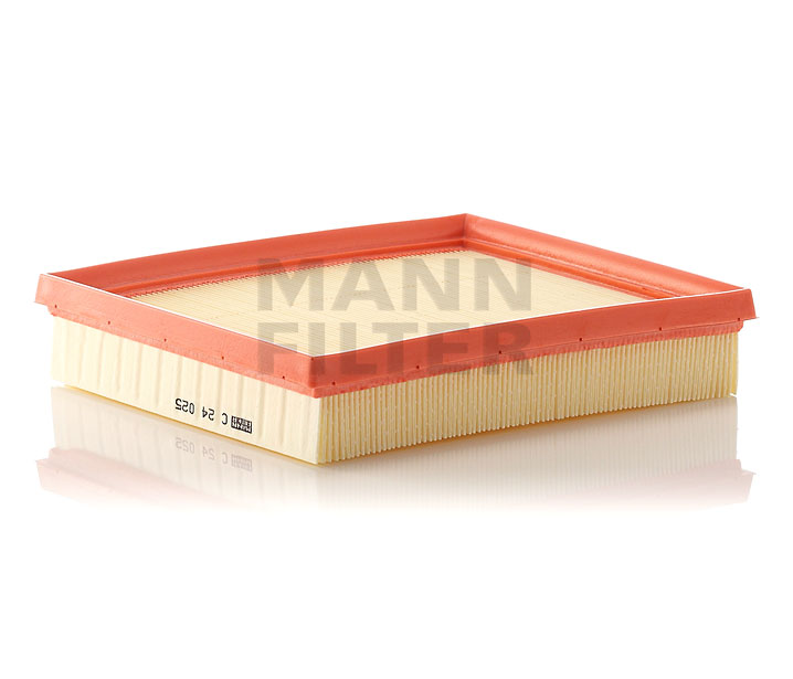 MANN-FILTER C 24 025 Filtro aria BMW Serie 2 prezzo