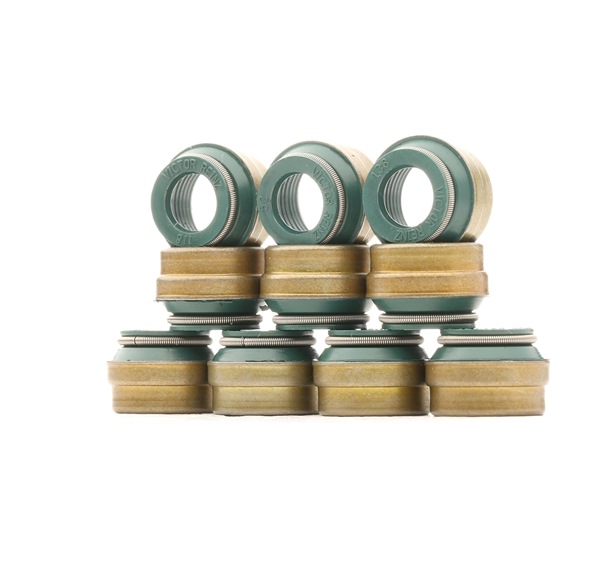 REINZ 12-25837-02 Paraolio valvole VW Crafter 50 Camion pianale prezzo