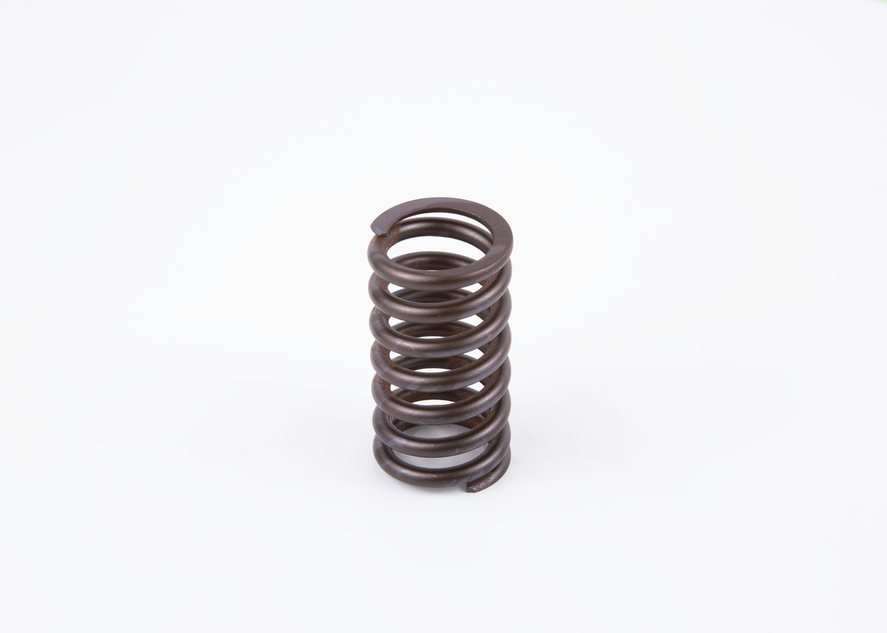 Spyruoklė BOSCH 2 434 614 019 tinka BMW, AUDI, VOLKSWAGEN, MERCEDES-BENZ, VOLVO pigu