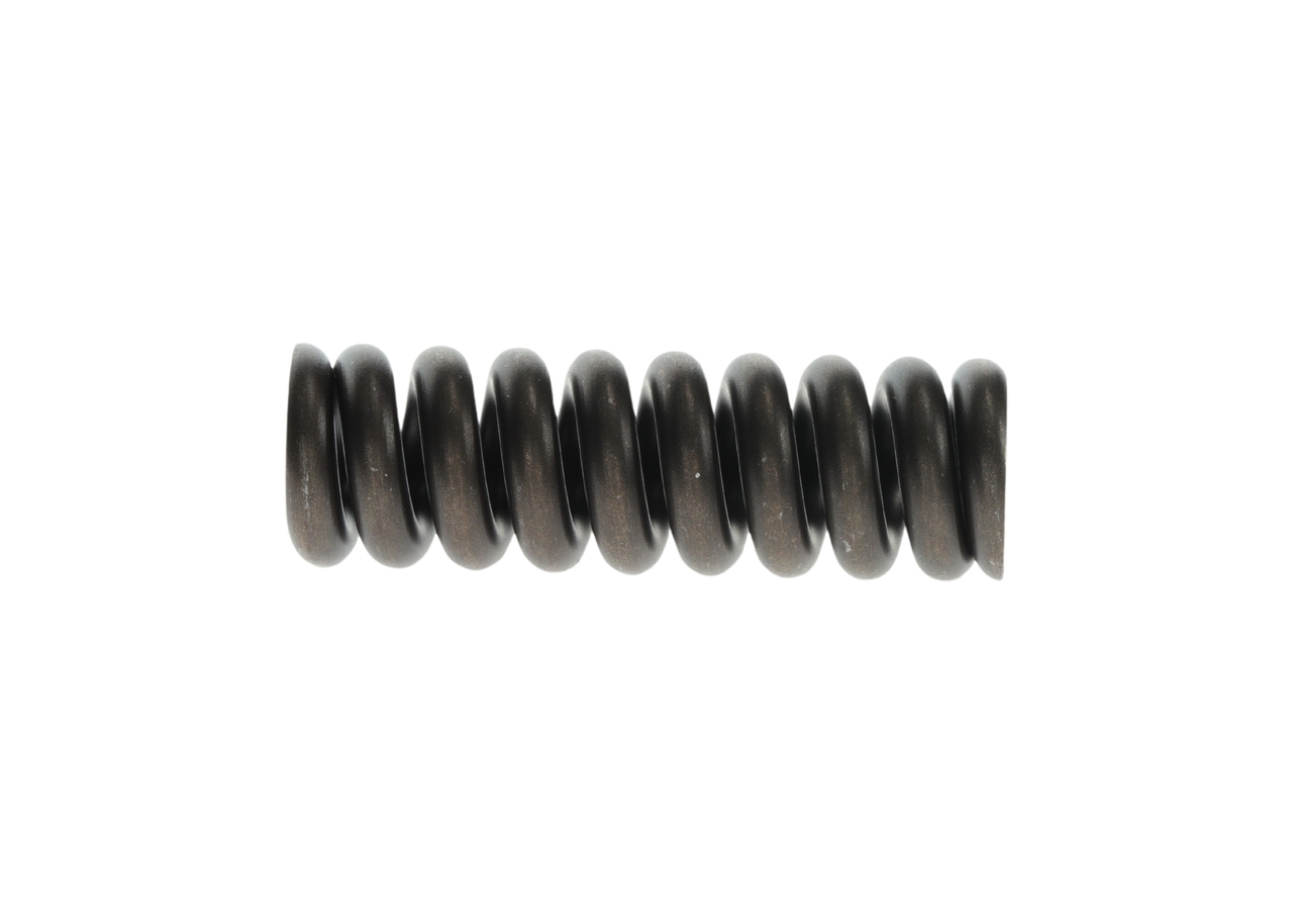 Vzmet BOSCH 2 434 619 045 primeren za VW, BMW, RENAULT, AUDI, MERCEDES-BENZ poceni