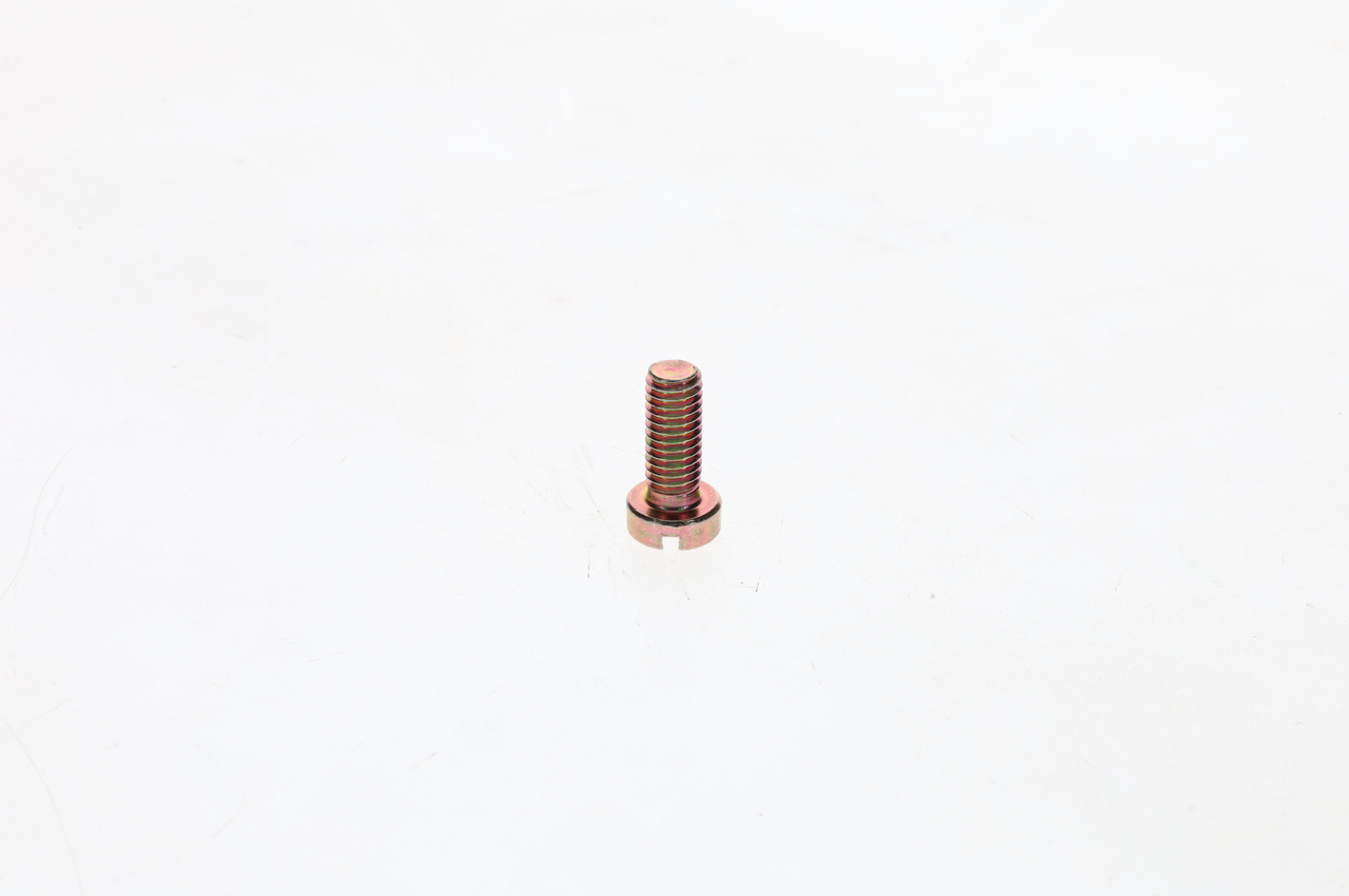 4060137 OE BOSCH Schraube 2 910 022 196
