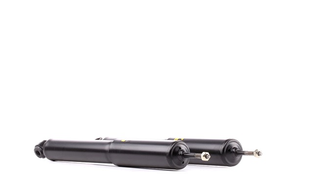 MONROE Ammortizzatore D8021