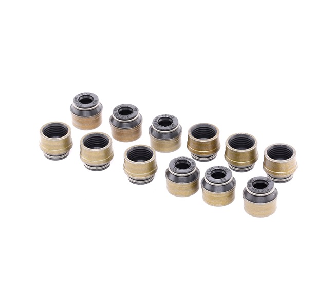 REINZ 12-31306-08 BMW 3 Coupe (E46) valve seals cost