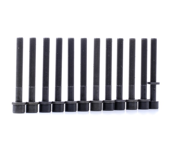 REINZ 14-32046-02 Topstykkebolt VW Passat 32B 1.9 Benzin 115 HK 1981 pris