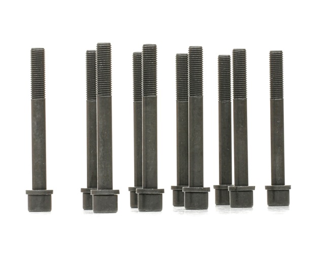 Kit bulloni testata REINZ 14-32159-01 adatti per RENAULT prezzi economici