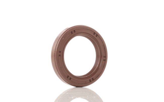 REINZ Anillo retén, cigüeñal 81-53918-00