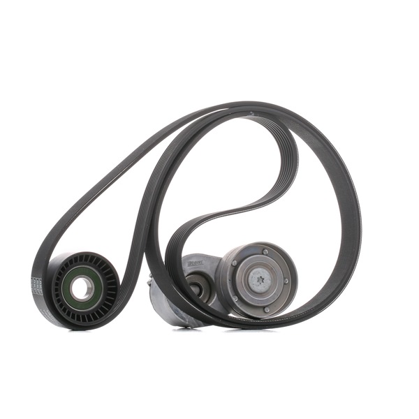 1192569T60 OE SKF Jeu de courroies trapézoïdales à nervures VKMA 36031