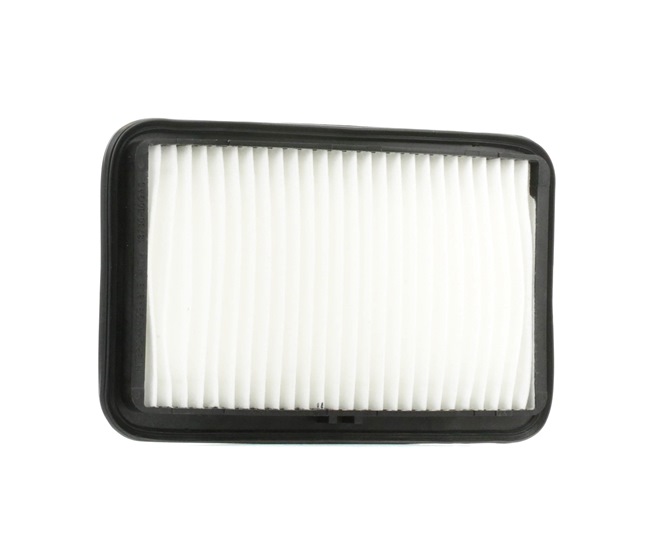 NIPPARTS Filtro aria J1328028