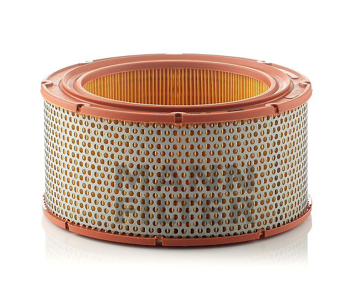 Luftfilter MANN-FILTER C 2170 der passer til VW, FORD, PEUGEOT, BMW, TOYOTA billig