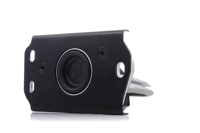 originalni Renault CLIO DELPHI Vlezajenje, motor TEM043