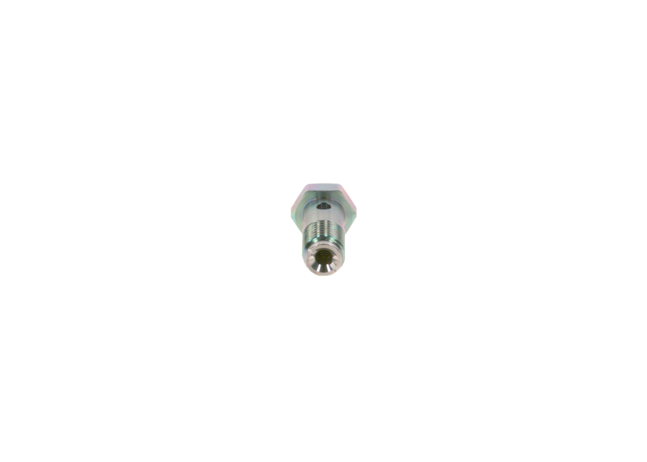 1300223 OE BOSCH Boulon 2 443 456 900