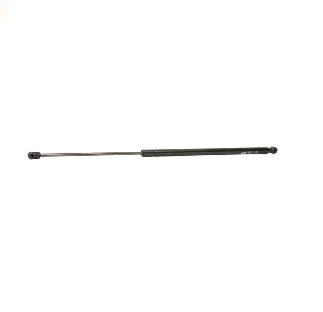81970060027 OE MAGNETI MARELLI Vérin de capot 430719013809