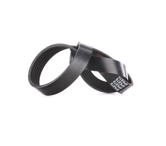 Correa trapecial poli V 9652250580 FEBI BILSTEIN 39802