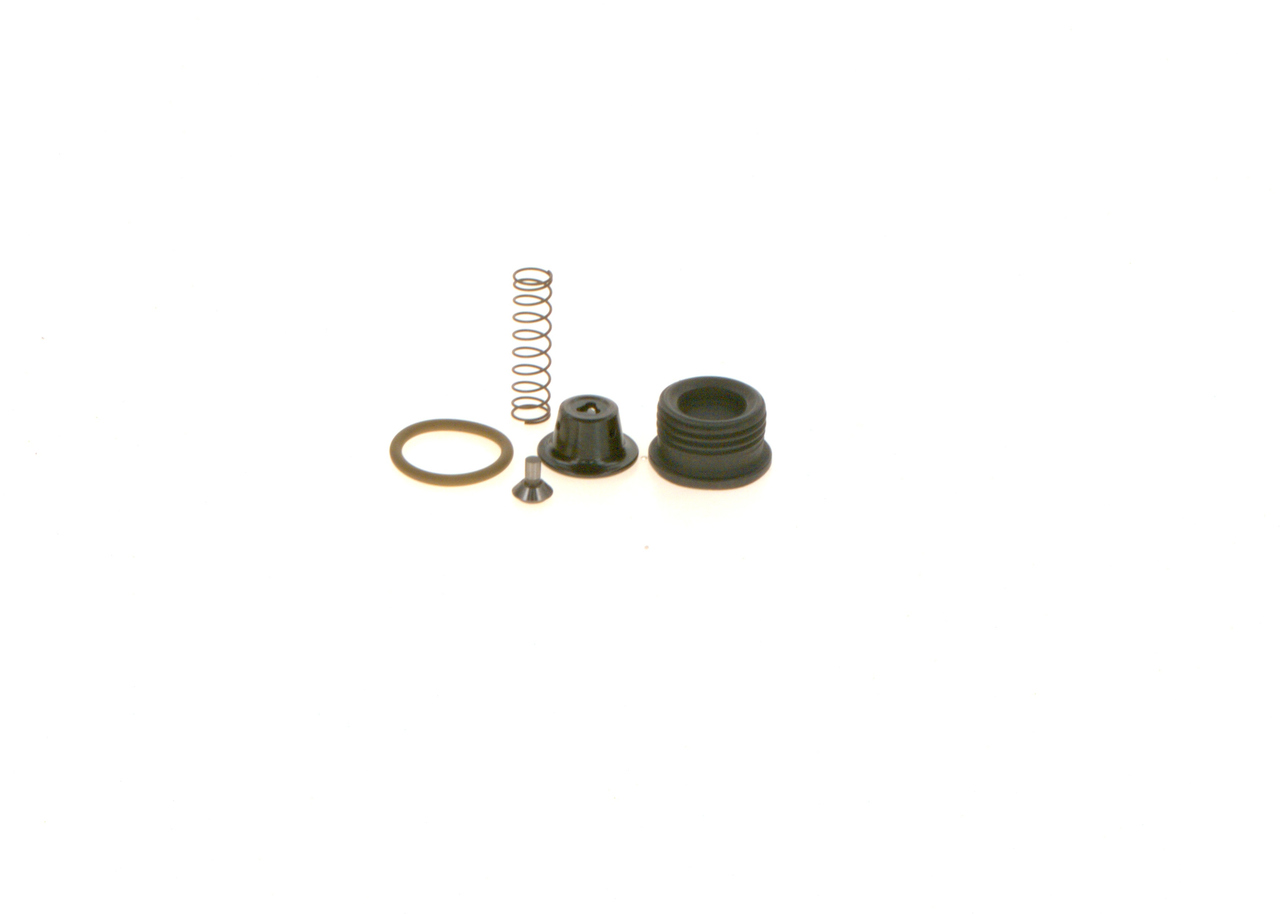 Ремкомплект, система common-rail BOSCH F 00N 200 995 совместимо с RENAULT дешево
