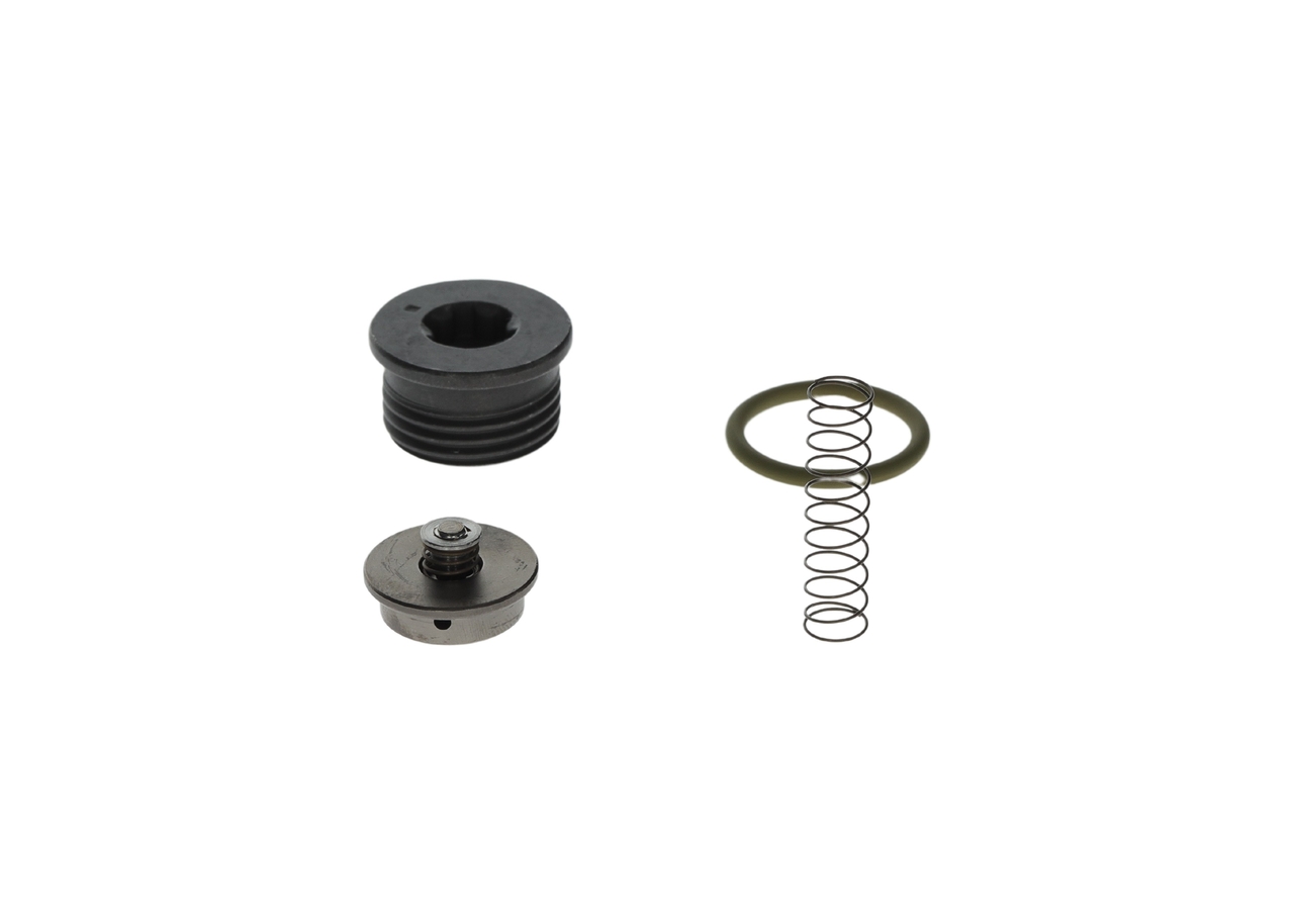 Kit de réparation, système à rampe commune BOSCH F 00N 201 001 appropriées pour VOLKSWAGEN, BMW, MERCEDES-BENZ, AUDI, OPEL pas cher