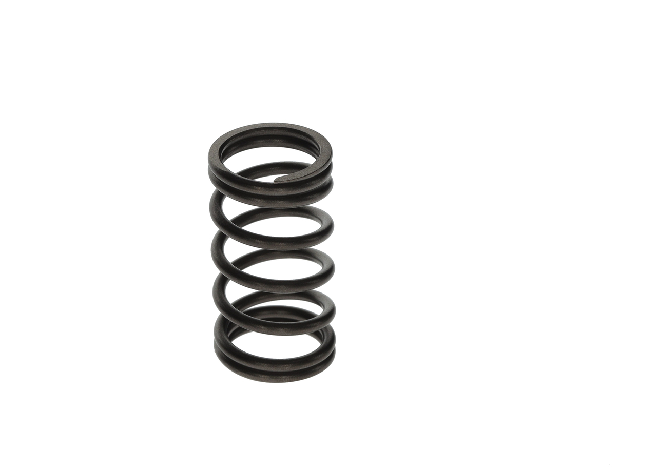 Ressort BOSCH F 00N 200 141 appropriées pour VOLKSWAGEN, BMW, MERCEDES-BENZ, AUDI, OPEL pas cher