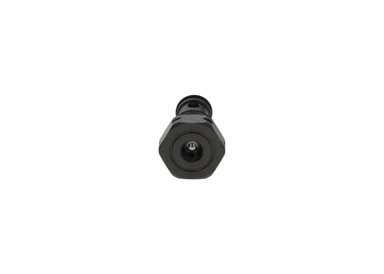 BOSCH Gicleur, injection F 00N 202 279