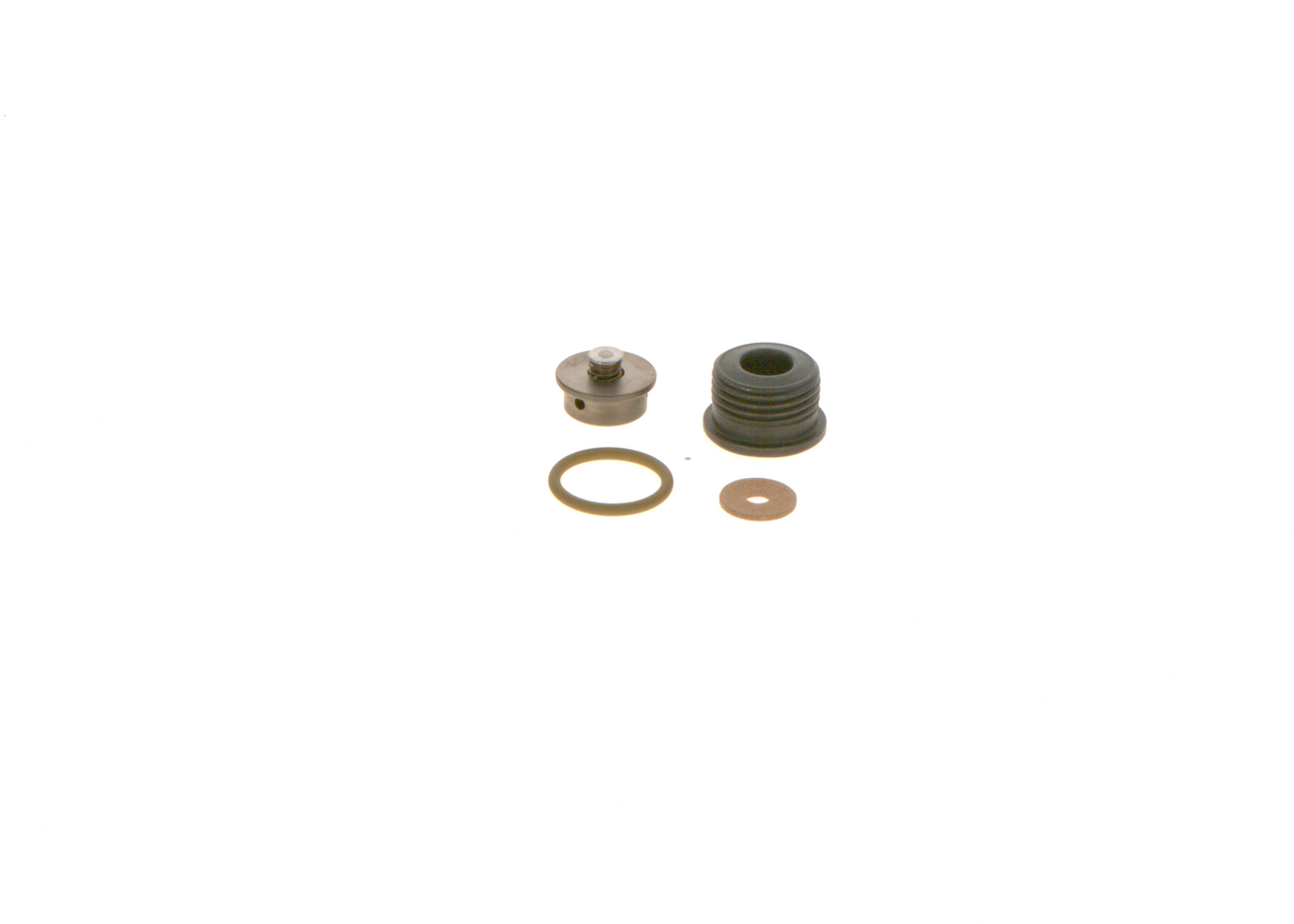 Kit de réparation, système à rampe commune BOSCH F 00N 202 418 appropriées pour RENAULT, PEUGEOT, VOLKSWAGEN, CITROЁN, BMW pas cher
